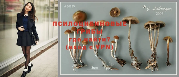apvp Абинск