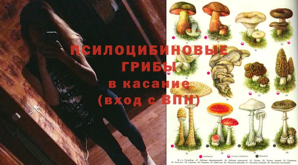 apvp Абинск