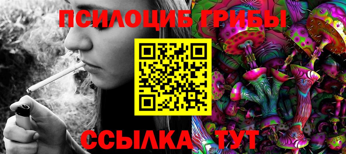 где купить наркотик  Вход с VPN  Подольск  Галлюциногенные грибы Magic Shrooms 
