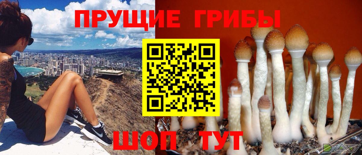 Псилоцибиновые грибы ЛСД Подольск